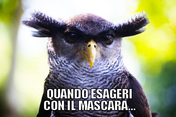 Effetto volumizzante ottenuto