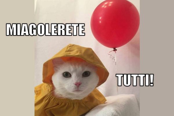 Il gatto It