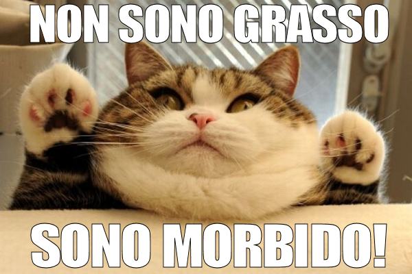 Quando l'appetito è felino