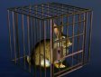 Gioco Libera il coniglio