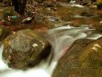 Gioco Fuga riserva naturale
