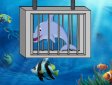 Gioco Libera il delfino