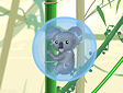 Gioco Koala avventuroso