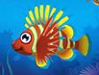 Gioco Fishdom splash