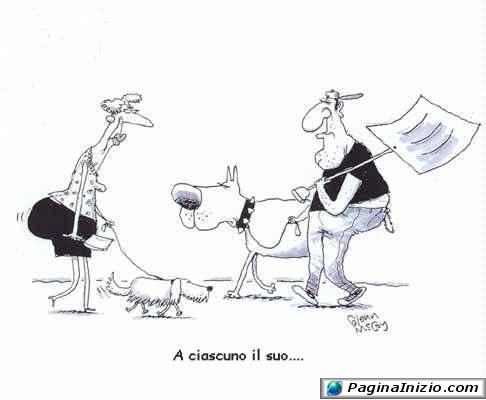 animali002.jpg