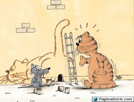 animali010.jpg