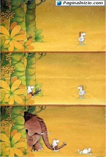 animali012.jpg
