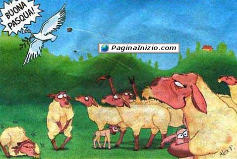 animali024.jpg