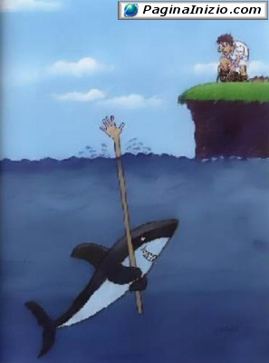 animali027.jpg