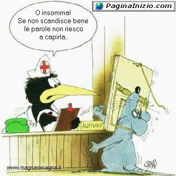animali030.jpg