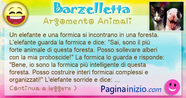 Barzelletta argomento Animali: Un elefante e una formica si incontrano in una ... (id=3226)