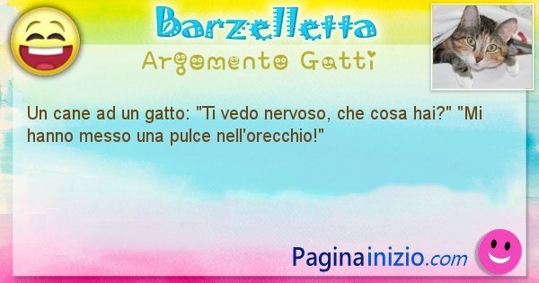 Barzelletta argomento Gatti: Un cane ad un gatto: Ti vedo nervoso, che cosa ... (id=1043)