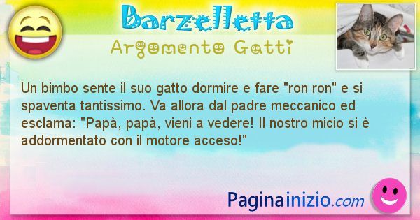 Barzelletta argomento Gatti: Un bimbo sente il suo gatto dormire e fare ron ron e si ... (id=1051)