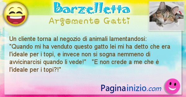 Barzelletta argomento Gatti: Un cliente torna al negozio di animali lamentandosi: ... (id=1053)