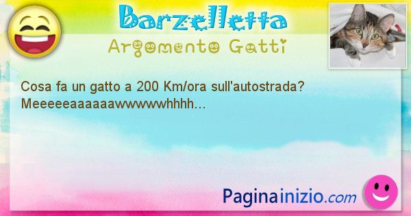 Barzelletta argomento Gatti: Cosa fa un gatto a 200 Km/ora sull'autostrada? ... (id=1063)