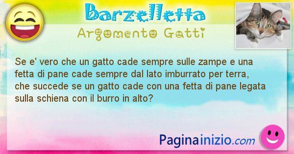 Barzelletta argomento Gatti: Se e' vero che un gatto cade sempre sulle zampe e una ... (id=1068)