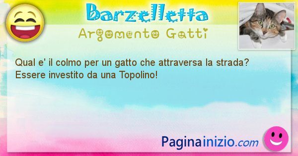 Barzelletta argomento Gatti: Qual e' il colmo per un gatto che attraversa la strada? ... (id=1076)