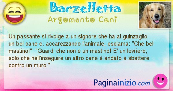 Barzelletta argomento Cani: Un passante si rivolge a un signore che ha al guinzaglio ... (id=1957)