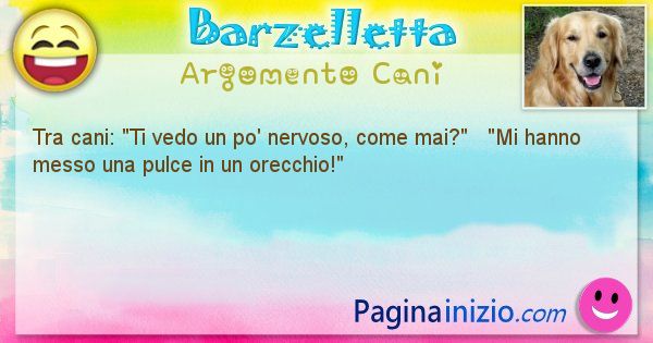 Barzelletta argomento Cani: Tra cani: Ti vedo un po' nervoso, come mai?   Mi ... (id=1965)