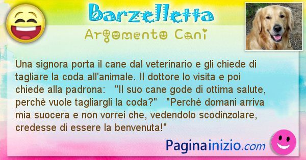 Barzelletta argomento Cani: Una signora porta il cane dal veterinario e gli chiede di ... (id=1968)