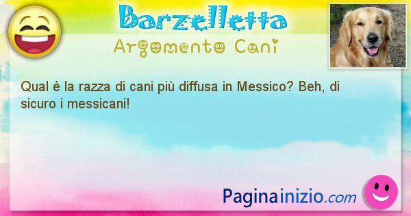 Barzelletta argomento Cani: Qual  la razza di cani pi diffusa in Messico? Beh, di ... (id=1972)