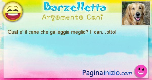 Barzelletta argomento Cani: Qual e' il cane che galleggia meglio? Il can...otto! (id=1984)