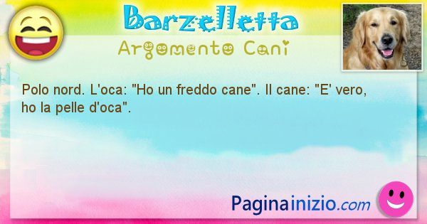 Barzelletta argomento Cani: Polo nord. L'oca: Ho un freddo cane. Il cane: E' ... (id=1987)