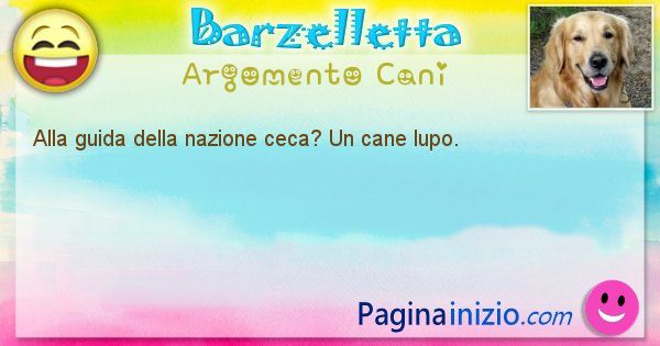 Barzelletta argomento Cani: Alla guida della nazione ceca? Un cane lupo. (id=1993)