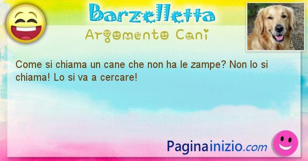 Barzelletta argomento Cani: Come si chiama un cane che non ha le zampe? Non lo si ... (id=2002)