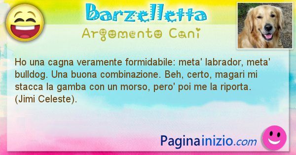 Barzelletta argomento Cani: Ho una cagna veramente formidabile: meta' labrador, meta' ... (id=2011)