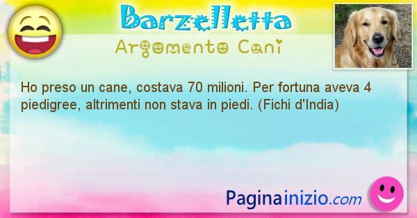 Barzelletta argomento Cani: Ho preso un cane, costava 70 milioni. Per fortuna ... (id=2018)