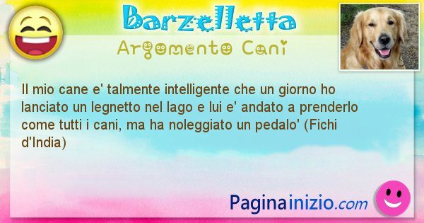 Barzelletta argomento Cani: Il mio cane e' talmente intelligente che un giorno ho ... (id=2024)