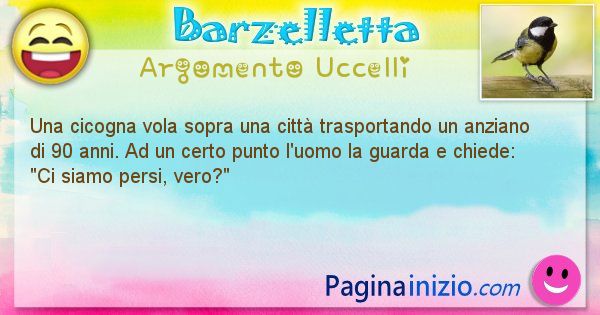 Barzelletta argomento Uccelli: Una cicogna vola sopra una citt trasportando un anziano ... (id=2035)