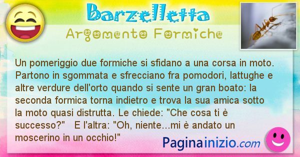 Barzelletta argomento Formiche: Un pomeriggio due formiche si sfidano a una corsa in ... (id=2038)