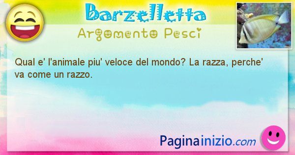 Barzelletta argomento Pesci: Qual e' l'animale piu' veloce del mondo? La razza, ... (id=2074)