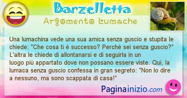 Barzelletta argomento Lumache: Una lumachina vede una sua amica senza guscio e stupita ... (id=2348)