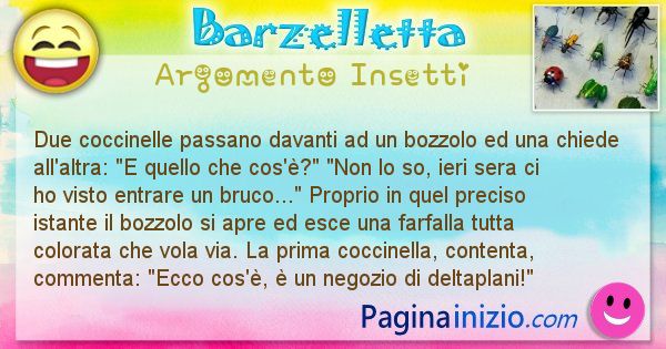 Barzelletta argomento Insetti: Due coccinelle passano davanti ad un bozzolo ed una ... (id=2371)