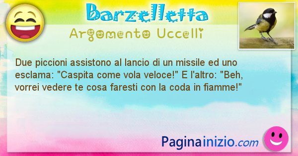 Barzelletta argomento Uccelli: Due piccioni assistono al lancio di un missile ed uno ... (id=2794)