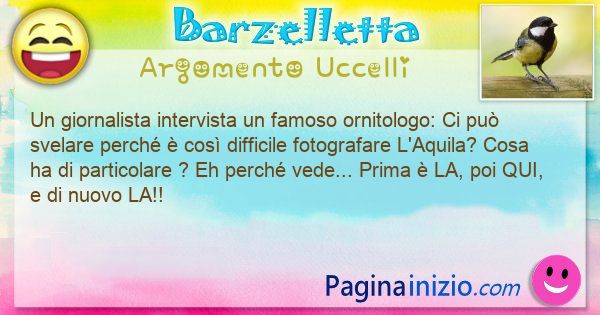 Barzelletta argomento Uccelli: Un giornalista intervista un famoso ornitologo: Ci ... (id=3070)