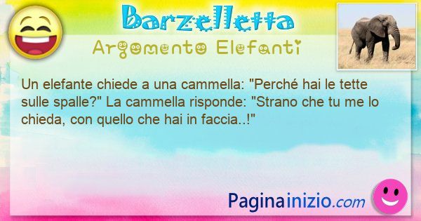 Barzelletta argomento Elefanti: Un elefante chiede a una cammella: Perch hai le tette ... (id=3256)