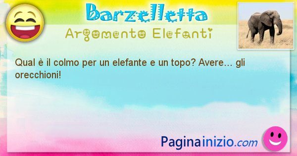 Colmo argomento Elefanti: Qual  il colmo per un elefante e un topo? Avere... gli ... (id=1691)