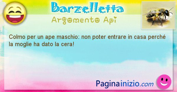 Colmo argomento Api: Colmo per un ape maschio: non poter entrare in casa ... (id=1692)