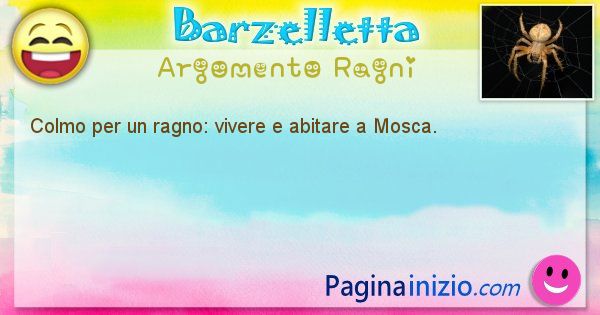 Colmo argomento Ragni: Colmo per un ragno: vivere e abitare a Mosca. (id=1697)