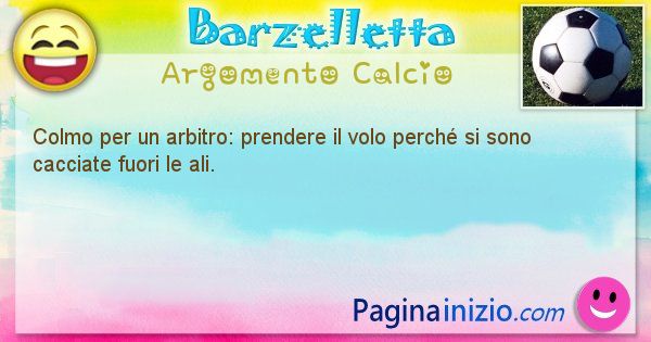 Colmo argomento Calcio: Colmo per un arbitro: prendere il volo perch si sono ... (id=1714)