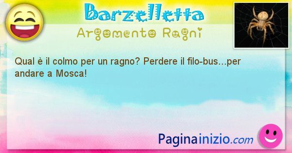 Colmo argomento Ragni: Qual  il colmo per un ragno? Perdere il filo-bus...per ... (id=1717)