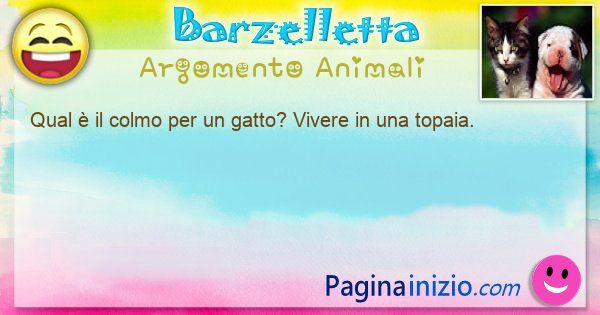 Colmo argomento Animali: Qual  il colmo per un gatto? Vivere in una topaia. (id=3154)