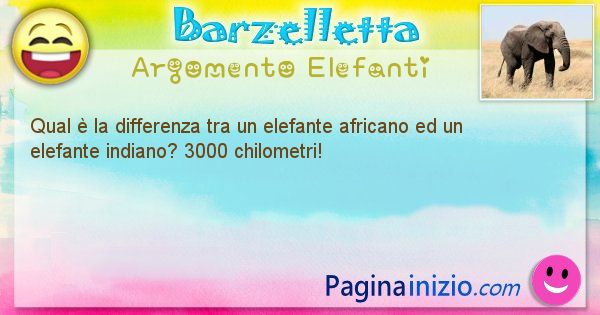 Differenza argomento Elefanti: Qual  la differenza tra un elefante africano ed un ... (id=2500)