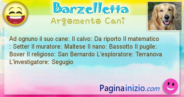 Domanda argomento Cani: Ad ognuno il suo cane: Il calvo: Da riporto Il ... (id=2361)