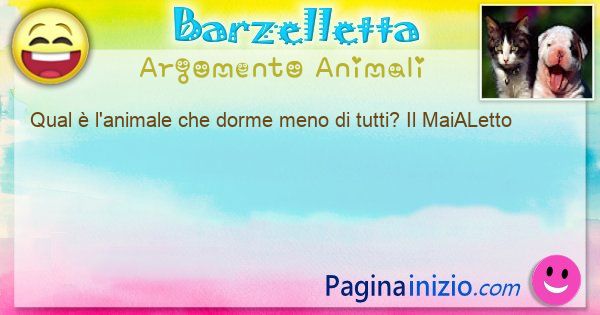 Domanda argomento Animali: Qual  l'animale che dorme meno di tutti? Il MaiALetto (id=3141)