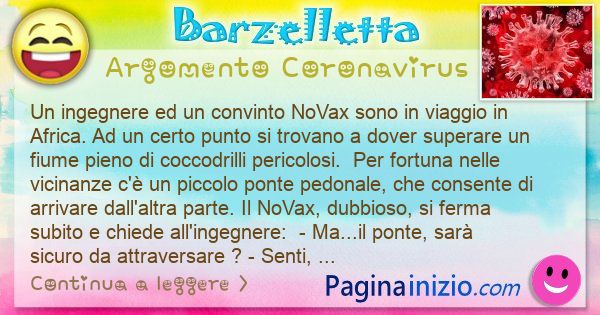 Barzelletta argomento Coronavirus: Un ingegnere ed un convinto NoVax sono in viaggio in ... (id=3134)